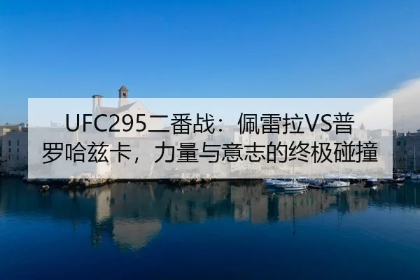 er-fan-zhan-pei-lei-la-pu-luo-ha-zi-ka-li-liang-yu-yi-zhi-de-zhong-ji-peng-zhuang-2-684.jpg
