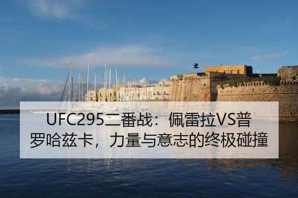 er-fan-zhan-pei-lei-la-pu-luo-ha-zi-ka-li-liang-yu-yi-zhi-de-zhong-ji-peng-zhuang-3-335.jpg