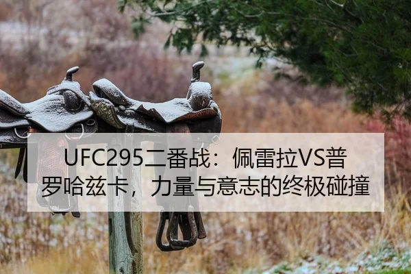 UFC295二番战：佩雷拉VS普罗哈兹卡，力量与意志的终极碰撞
