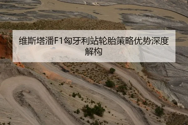 维斯塔潘F1匈牙利站轮胎策略优势深度解构