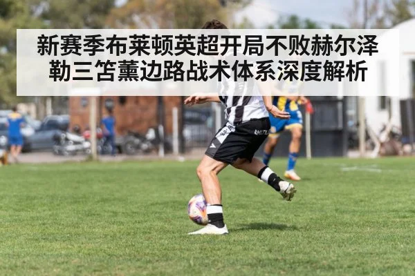 新赛季布莱顿英超开局不败赫尔泽勒三笘薰边路战术体系深度解析